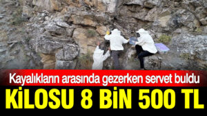 haber-gorseli-1786371658310
