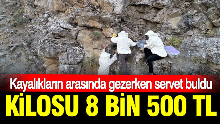 haber-gorseli-1786371658310